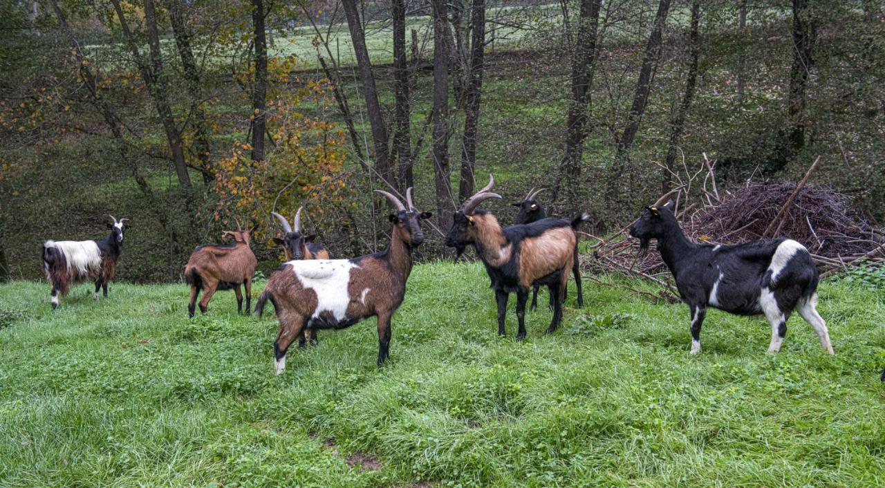 Agriturismo Il Bardellino Fivizzano Zewnętrze zdjęcie