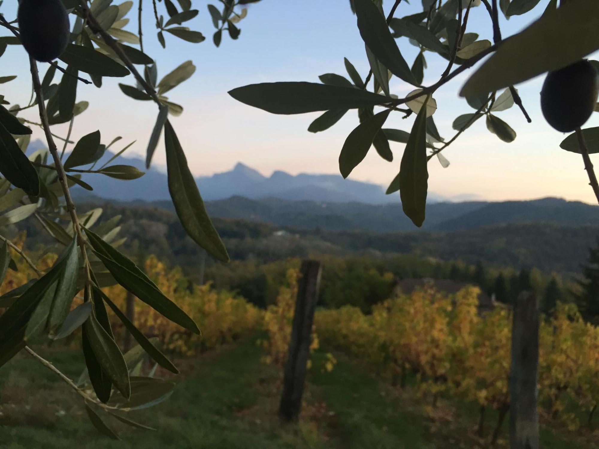 Agriturismo Il Bardellino Fivizzano Zewnętrze zdjęcie