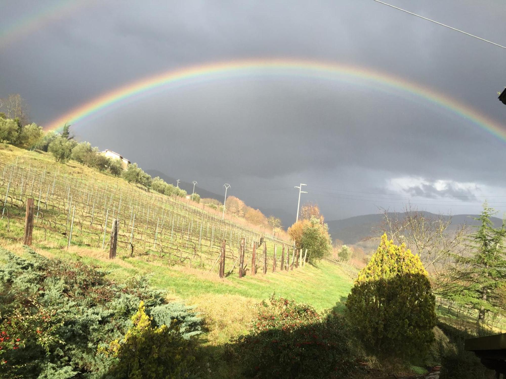 Agriturismo Il Bardellino Fivizzano Zewnętrze zdjęcie