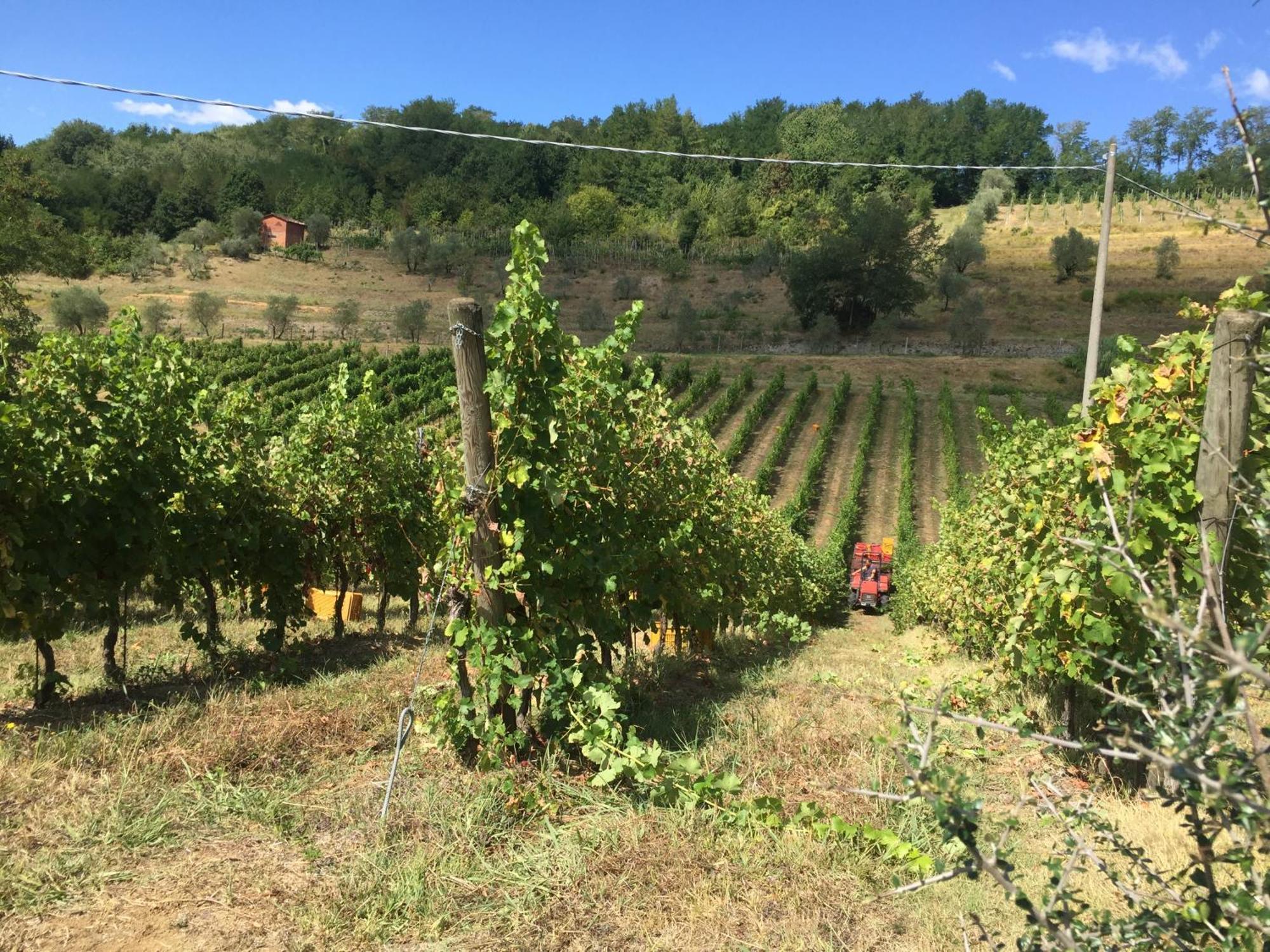 Agriturismo Il Bardellino Fivizzano Zewnętrze zdjęcie