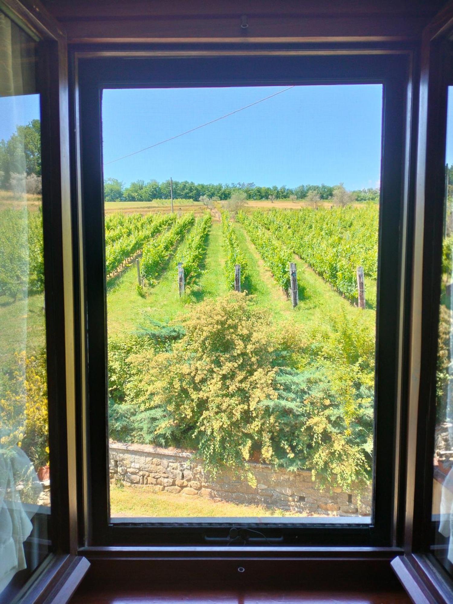 Agriturismo Il Bardellino Fivizzano Zewnętrze zdjęcie