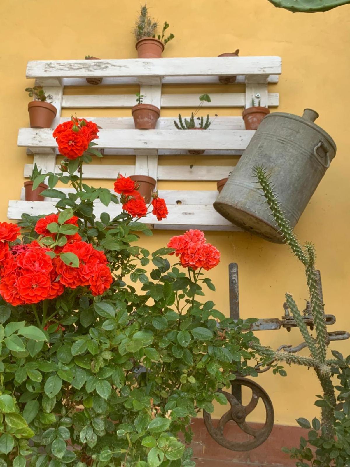 Agriturismo Il Bardellino Fivizzano Zewnętrze zdjęcie
