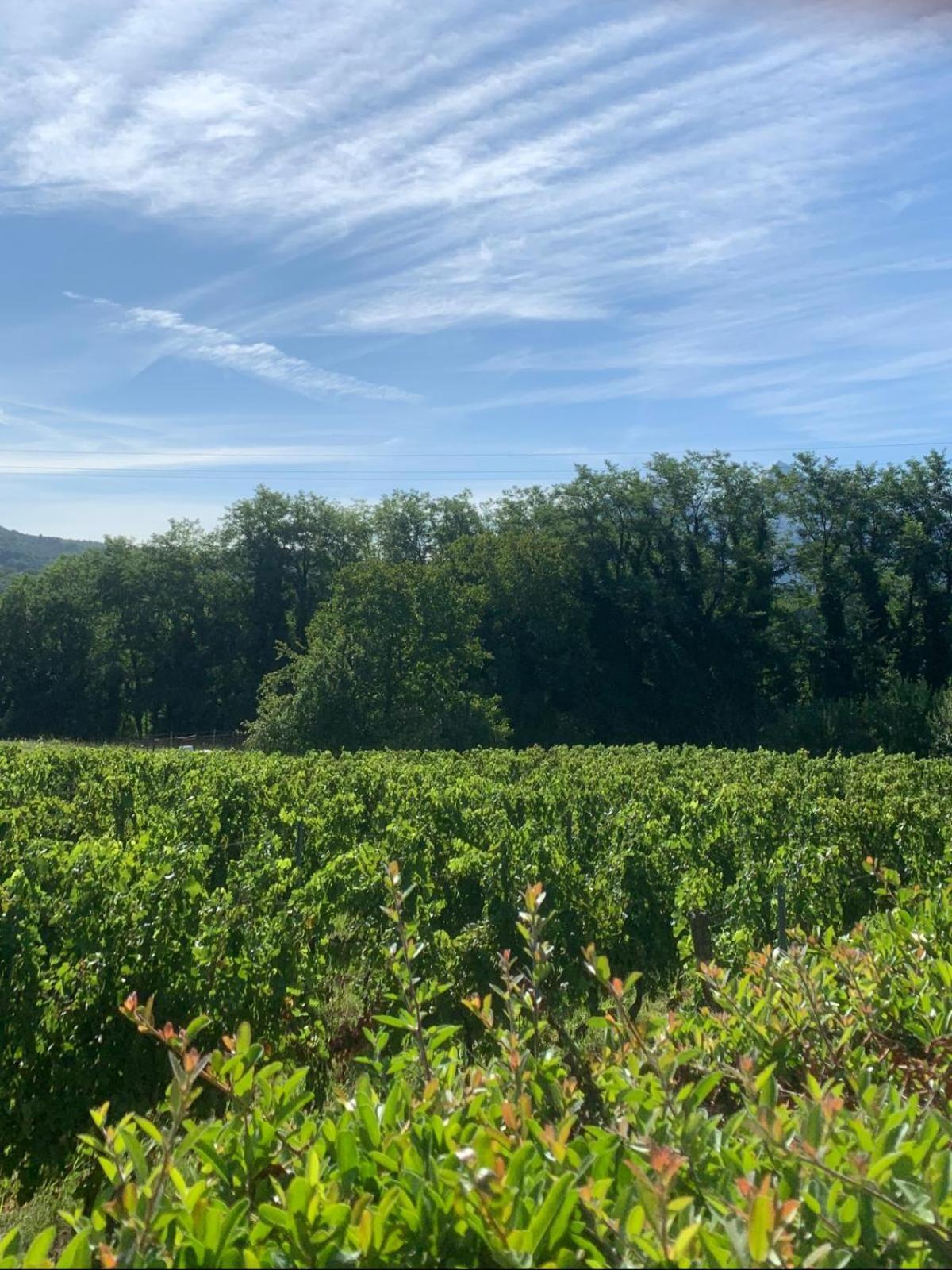 Agriturismo Il Bardellino Fivizzano Zewnętrze zdjęcie