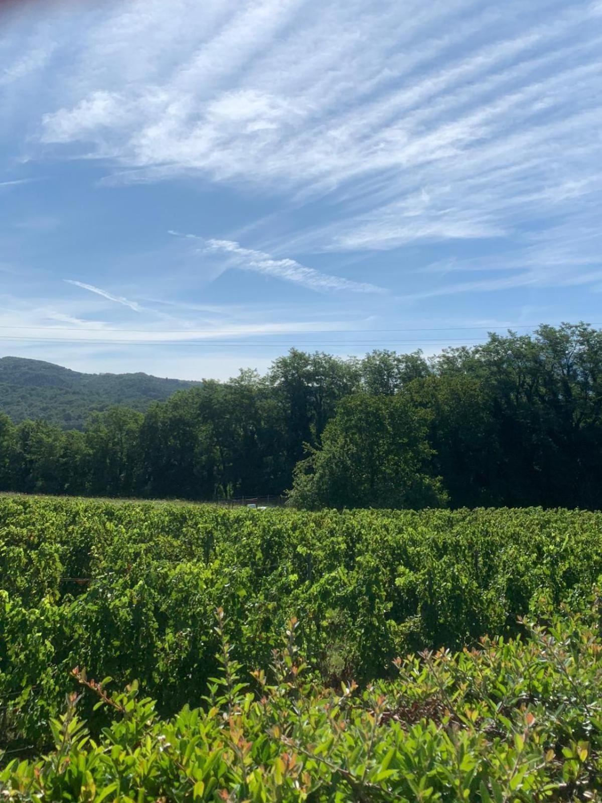 Agriturismo Il Bardellino Fivizzano Zewnętrze zdjęcie